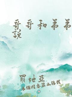 哥哥和弟弟的小说