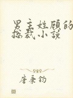 男主姓顾的现代总裁小说