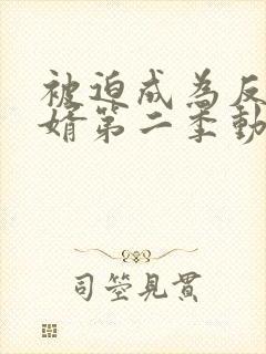 被迫成为反派赘婿第二季动漫全集免费观看