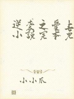 逆袭之爱上情敌小说完本免费阅读