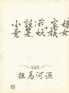 小说:我家娘子竟是妖族女帝