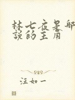 林七夜是哪本小说的主角