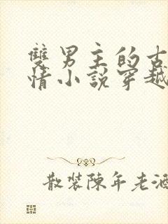 双男主的古代言情小说穿越