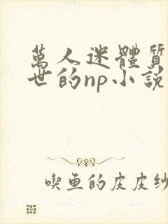 万人迷体质在末世的np小说