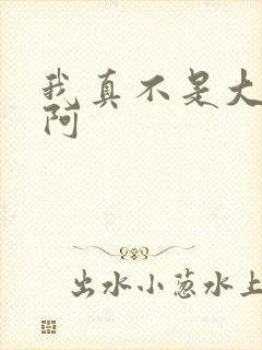 我真不是大反派阿