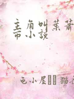 主角叫叶萧的都市小说