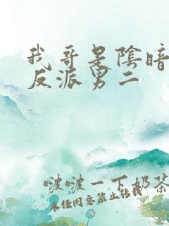 我哥是阴暗病娇反派男二