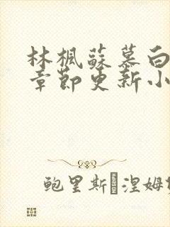 林枫苏慕白最新章节更新小说下载