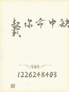 叔你命中缺我下载