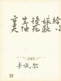 重生后嫁给了亡夫他死敌 小说网