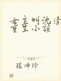 女主叫沈清梨的重生小说