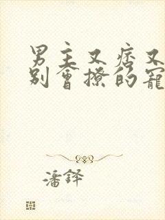 男主又痞又坏特别会撩的宠文古言