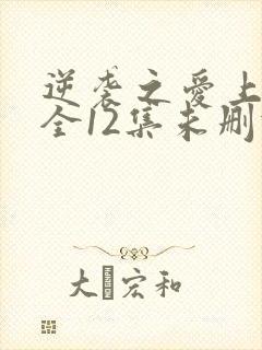 逆袭之爱上情敌全12集未删减