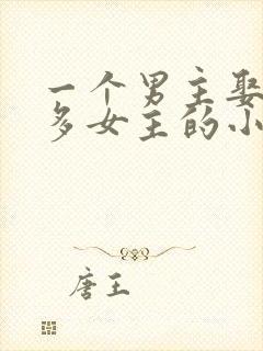 一个男主娶了很多女主的小说