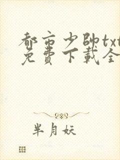 都市少帅txt免费下载全集