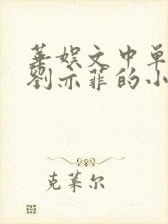 华娱文中单女主刘亦菲的小说