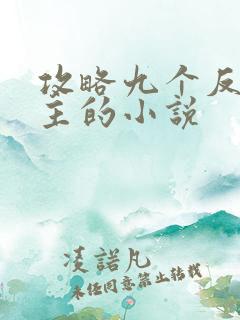 攻略九个反派女主的小说