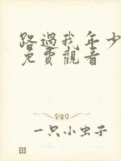 路过我年少时光免费观看