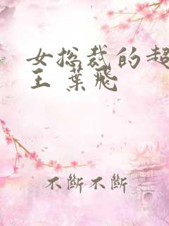 女总裁的超级兵王 叶飞