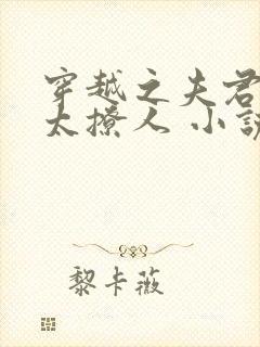 穿越之夫君个个太撩人 小说