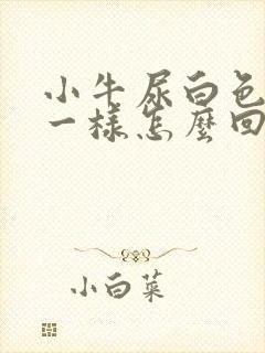 小牛尿白色和奶一样怎么回事