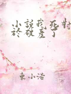 小说我死对头终于破产了