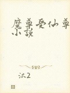 魔尊受仙尊攻的小说