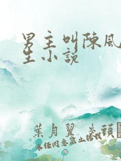 男主叫陈风的重生小说