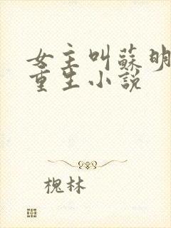 女主叫苏明妆的重生小说