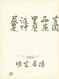 尿液里面有血块是什么原因引起的