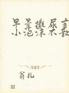 早晨撒尿有泡沫小泡沫不散