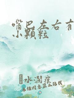 嘴巴左右有很多小颗粒