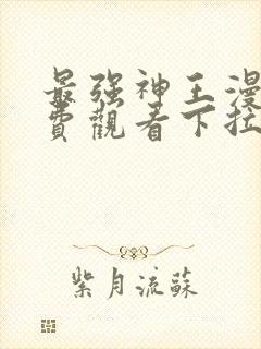 最强神王漫画免费观看下拉式六漫画