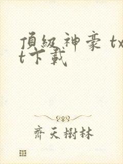 顶级神豪 txt下载