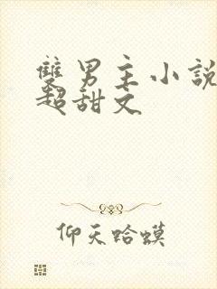 双男主小说推荐超甜文