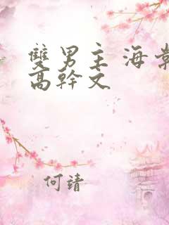 双男主 海棠 高干文
