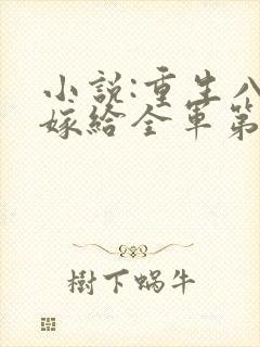小说:重生八零嫁给全军第一硬汉