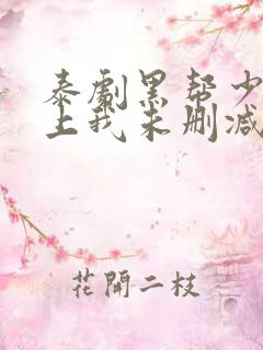 泰剧黑帮少爷爱上我未删减版