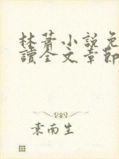 林萧小说免费阅读全文章节