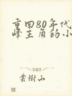 重回80年代陆峰主角的小说