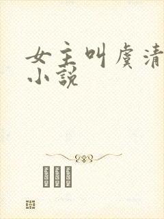 女主叫虞清欢的小说