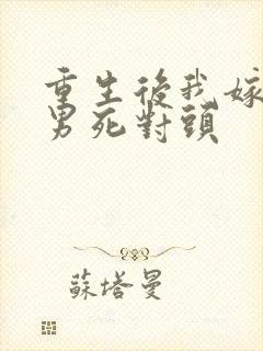 重生后我嫁给渣男死对头