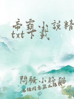 帝霸小说精校版txt下载