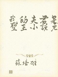 我的夫君是苗疆圣主小说免费阅读