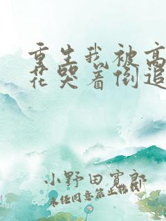 重生我被高冷校花哭着倒追