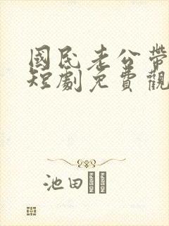 国民老公带回家短剧免费观看