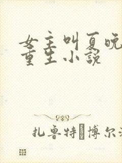 女主叫夏晚晚的重生小说