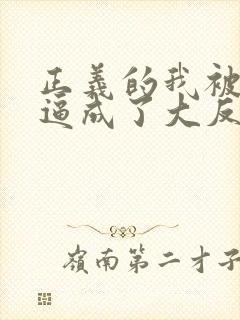 正义的我被系统逼成了大反派