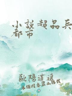 小说超品兵王在都市