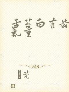 舌苔白有齿痕湿气重